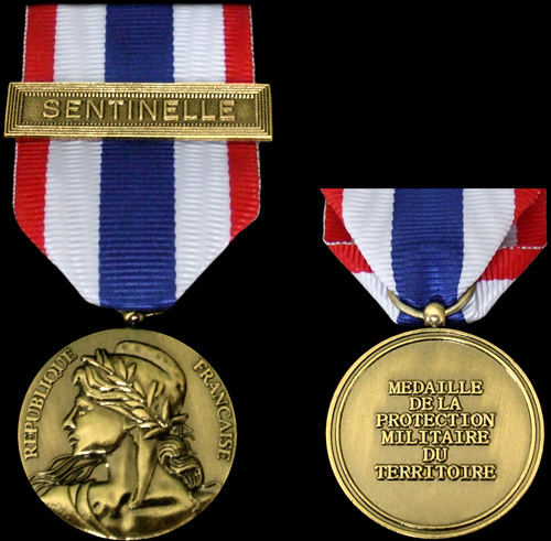 Médaille de la Protection militaire du territoire - Insigne